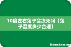 兔子温度多少合适 10度左右兔子会冻死吗