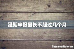 延期申报最长不超过几个月