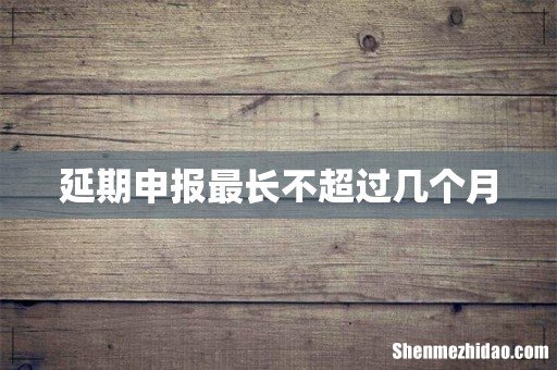 延期申报最长不超过几个月