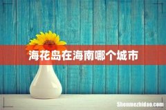 海花岛在海南哪个城市