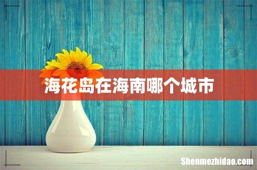 海花岛在海南哪个城市