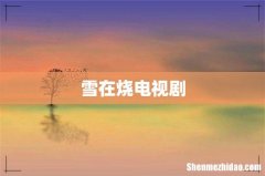 雪在烧电视剧