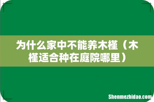 木槿适合种在庭院哪里 为什么家中不能养木槿