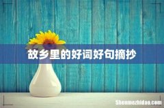 故乡里的好词好句摘抄