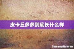 皮卡丘多多到底长什么样