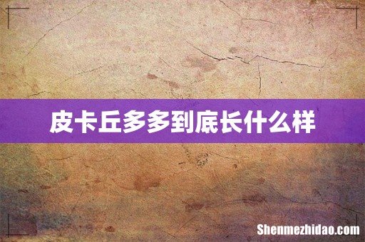 皮卡丘多多到底长什么样
