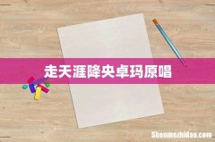 走天涯降央卓玛原唱