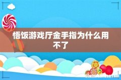 悟饭游戏厅金手指为什么用不了