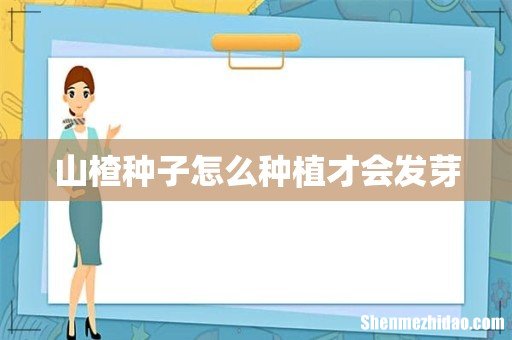 山楂种子怎么种植才会发芽