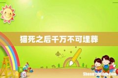 猫死之后千万不可埋葬