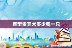 巨型贵宾犬多少钱一只