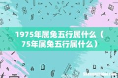 75年属兔五行属什么 1975年属兔五行属什么
