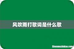 风吹雨打歌词是什么歌