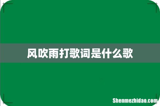 风吹雨打歌词是什么歌