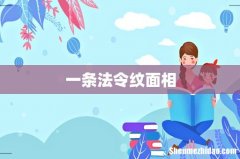 一条法令纹面相