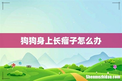 狗狗身上长瘤子怎么办