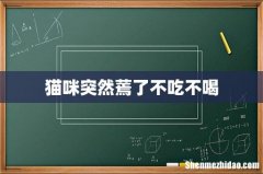 猫咪突然蔫了不吃不喝