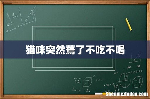 猫咪突然蔫了不吃不喝