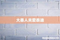 大善人关爱泰迪
