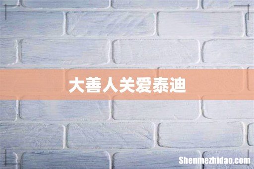 大善人关爱泰迪