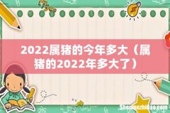 属猪的2022年多大了 2022属猪的今年多大