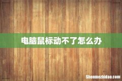 电脑鼠标动不了怎么办