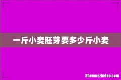 一斤小麦胚芽要多少斤小麦