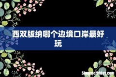 西双版纳哪个边境口岸最好玩