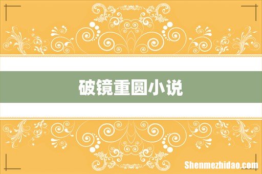 破镜重圆小说