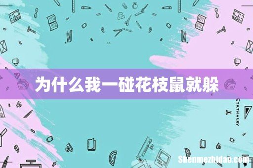 为什么我一碰花枝鼠就躲