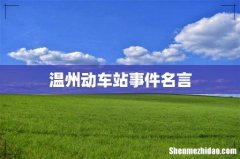 温州动车站事件名言