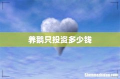 养鹅只投资多少钱