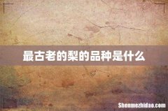 最古老的梨的品种是什么