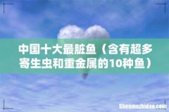 含有超多寄生虫和重金属的10种鱼 中国十大最脏鱼