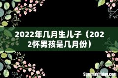 2022怀男孩是几月份 2022年几月生儿子
