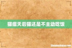 猫瘟天后猫还是不主动吃饭