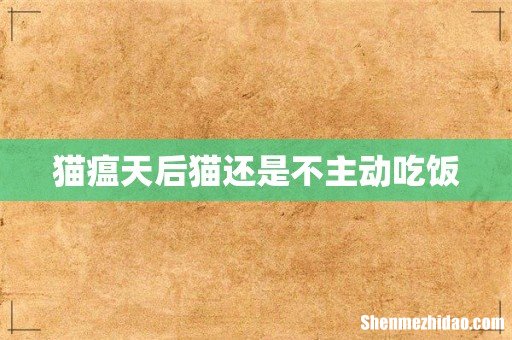 猫瘟天后猫还是不主动吃饭