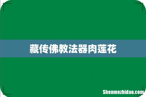 藏传佛教法器肉莲花