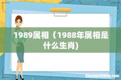 1989属相（1988年属相是什么生肖)