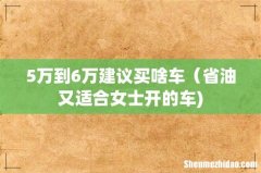 5万到6万建议买啥车（省油又适合女士开的车)