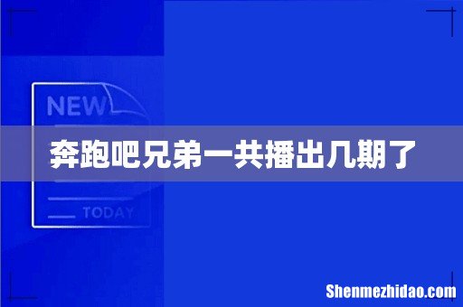 奔跑吧兄弟一共播出几期了
