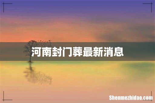 河南封门葬最新消息