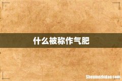 什么被称作气肥