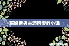 离婚后男主追前妻的小说