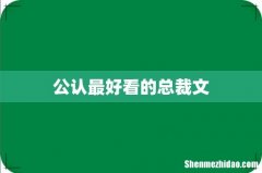 公认最好看的总裁文