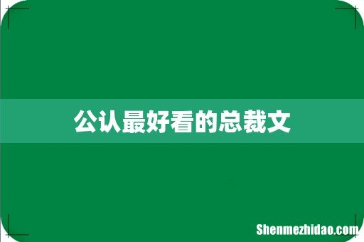 公认最好看的总裁文