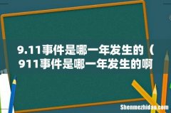 911事件是哪一年发生的啊- 9.11事件是哪一年发生的