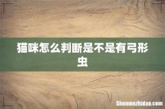 猫咪怎么判断是不是有弓形虫