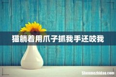 猫躺着用爪子抓我手还咬我