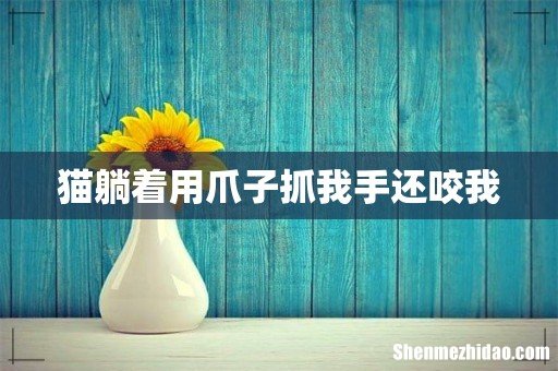 猫躺着用爪子抓我手还咬我